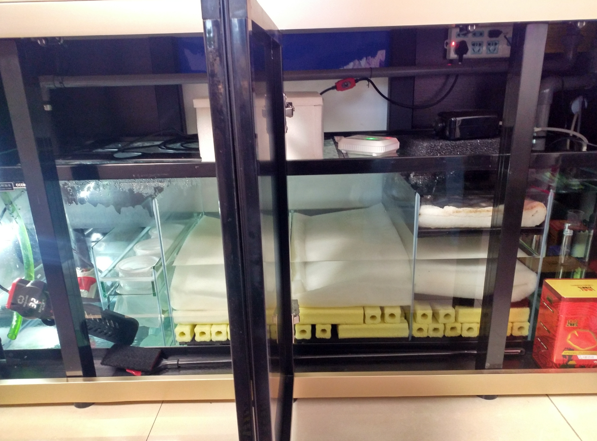魚缸過(guò)濾器材擺放順序有講究.png 魚缸過(guò)濾器材擺放順序有講究.png