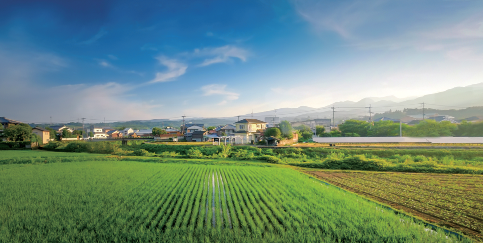農村自建房很怵這4點.png 農村自建房很怵這4點.png