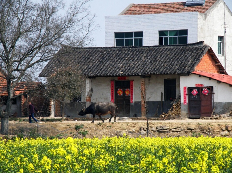 農(nóng)村風(fēng)水陽宅三要看指什么?.png 農(nóng)村風(fēng)水陽宅三要看指什么?.png