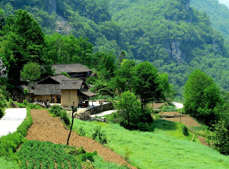 農(nóng)村陽宅風(fēng)水吉兇取決于哪些方面?.png 農(nóng)村陽宅風(fēng)水吉兇取決于哪些方面?.png