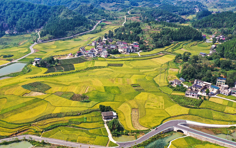 家居風(fēng)水不好如何化解 (1).png 家居風(fēng)水不好如何化解 (1).png